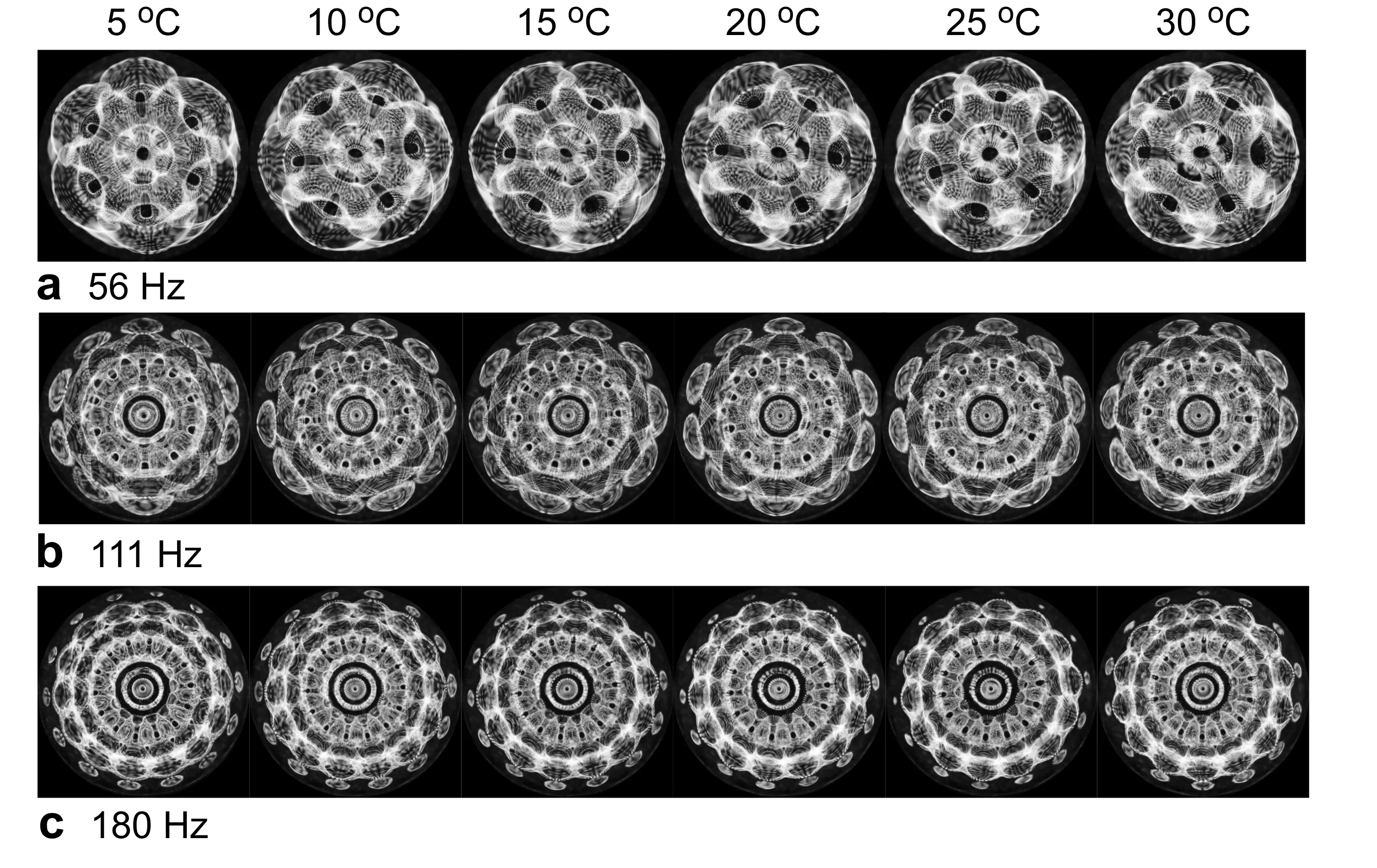 Cymatics – sound organising physical matter into harmonious patterns